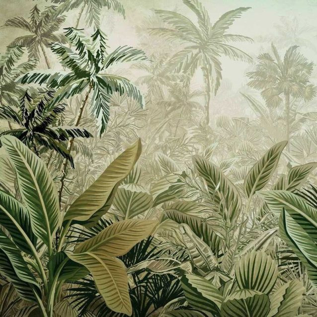 Tropical  3ED 1枚 Tropical Island 3ED 1枚