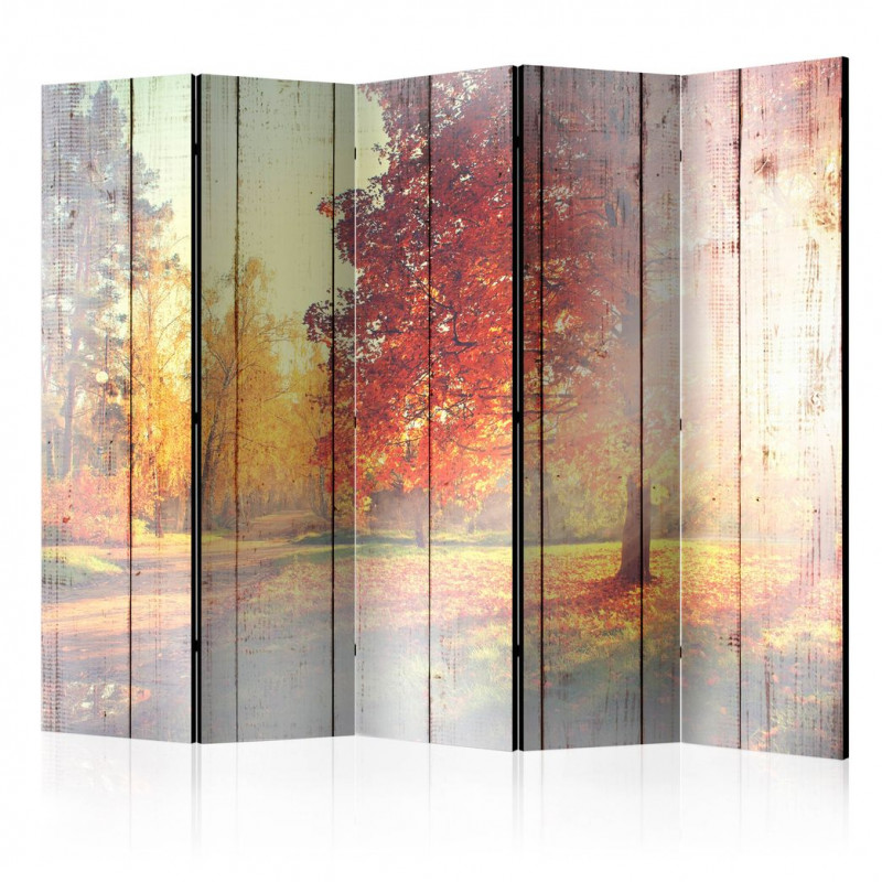 Paravan - Autumn Sun II [Room Dividers]