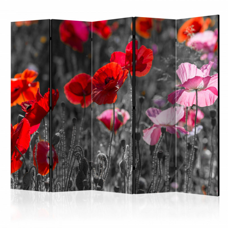 Paravan - Red Poppies II [Room Dividers]
