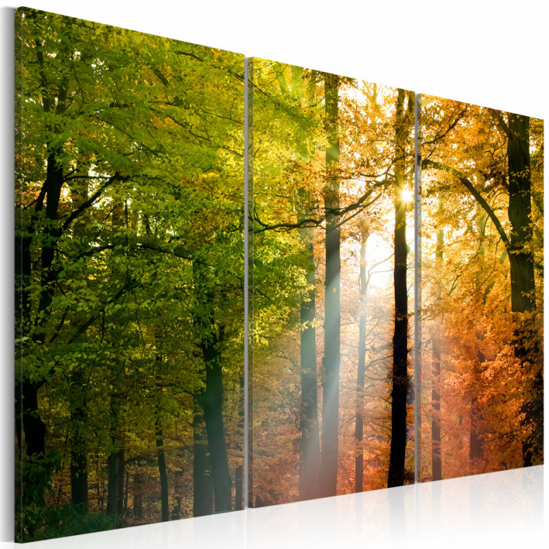 Tablou - A calm autumn forest