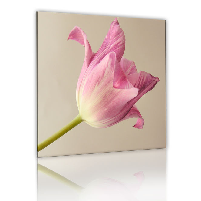 Tablou - Tulip flower