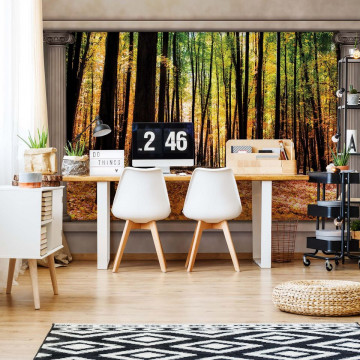 Autumn Forest Roman Column View Photo Wallpaper Wall Mural - Img 2