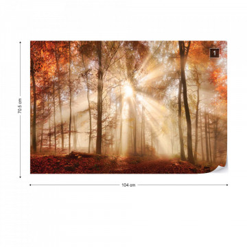 Autumn Trees Forest Sunshine Photo Wallpaper Wall Mural - Img 1