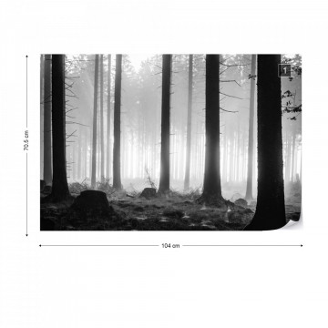 Black And White Atmospheric Forest Photo Wallpaper Wall Mural - Img 1