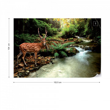 Deer In Forest Photo Wallpaper Wall Mural - Img 12