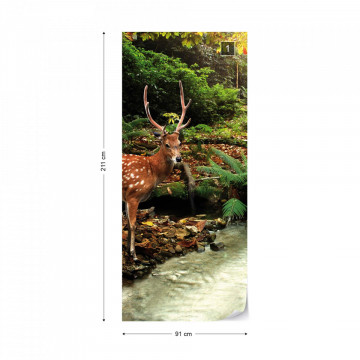 Deer In Forest Photo Wallpaper Wall Mural - Img 14