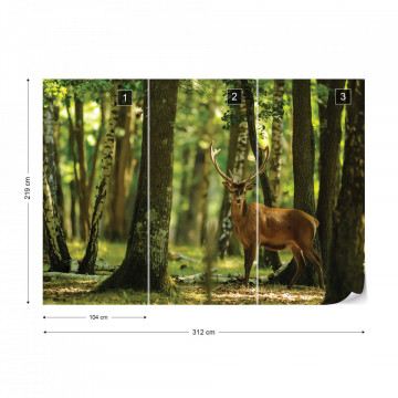 Deer In The Forest Nature Photo Wallpaper Wall Mural - Img 13