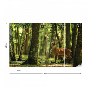Deer In The Forest Nature Photo Wallpaper Wall Mural - Img 14