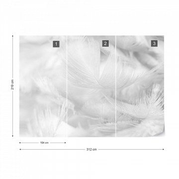 Feathers in Black & White - Img 15