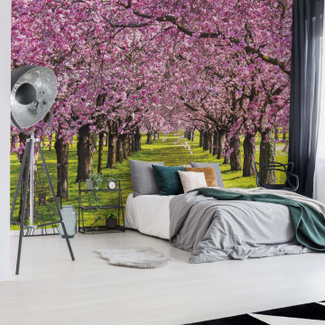 Flowering Trees Photo Wallpaper Wall Mural - Img 11