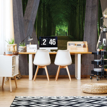 Forest Path 3D Modern View Concrete Photo Wallpaper Wall Mural - Img 2