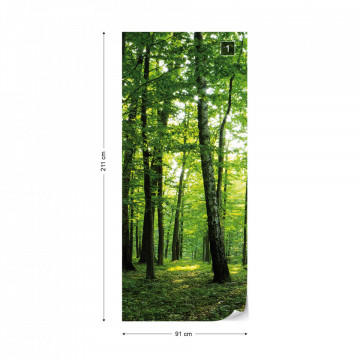 Forest Trees Green Nature Photo Wallpaper Wall Mural - Img 12