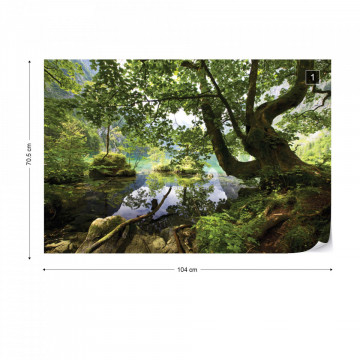 Forest Trees Lake Photo Wallpaper Wall Mural - Img 1