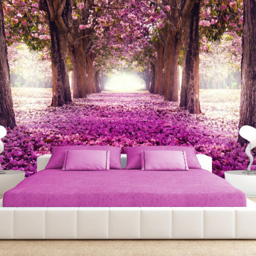 Fototapet autoadeziv - Pink path - Img 1