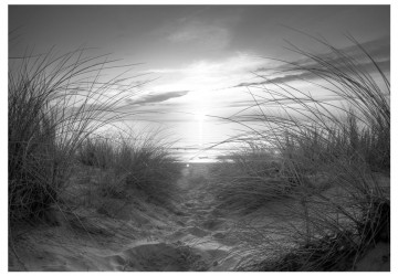 Fototapet - beach (black and white) - Img 3