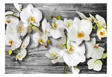 Fototapet - Callous orchids III - Img 2