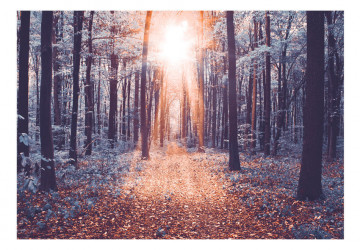 Fototapet - Edge of the Sun - Img 2