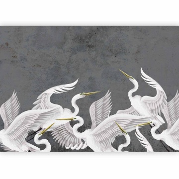 Fototapet - Flutter of wings - white herons on dark grey textured background - Img 8
