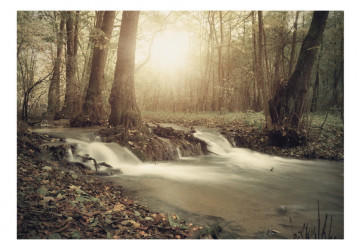 Fototapet - Forest Cascade - Img 2