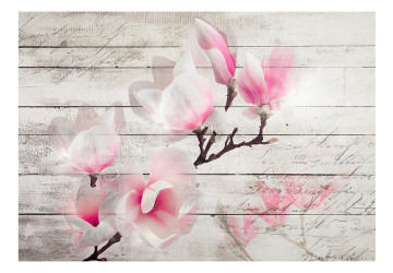Fototapet - Gentleness of the Magnolia - Img 2