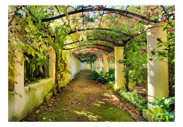 Fototapet - Pergola - Img 2
