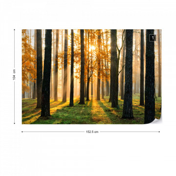 Fototapet - Răsărit de Soare în Pădure - Img 13