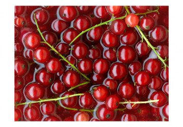 Fototapet - Redcurrants bathed in water - Img 4