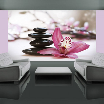 Fototapet - Relaxation and Wellness - Img 1