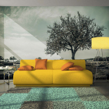 Fototapet - tree - vintage - Img 1