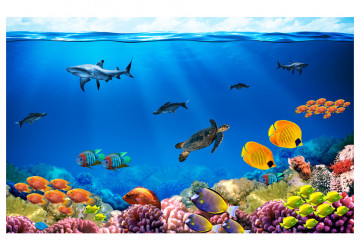 Fototapet - Underwater kingdom - Img 2