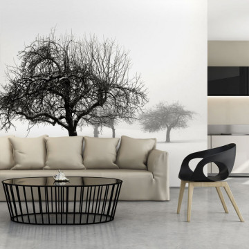 Fototapet - Winter: Trees - Img 1
