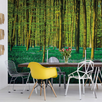 Green Forest Trees Photo Wallpaper Wall Mural - Img 16
