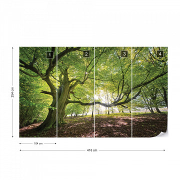 Green Tree In The Forest Photo Wallpaper Wall Mural - Img 14