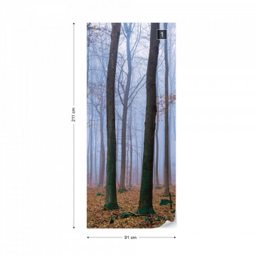Misty Forest Photo Wallpaper Wall Mural - Img 13