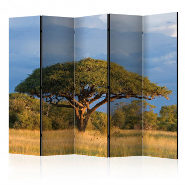 Paravan - African acacia tree, Hwange National Park, Zimbabwe II [Room Dividers] - Img 1