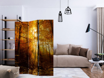 Paravan - Autumn Illumination [Room Dividers] - Img 2