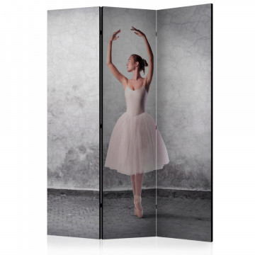 Paravan - Ballerina in Degas paintings style [Room Dividers] - Img 1