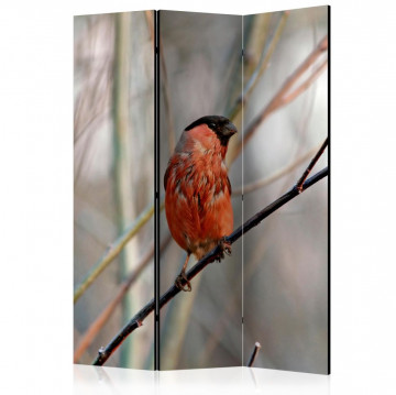 Paravan - Bullfinch in the forest [Room Dividers] - Img 1