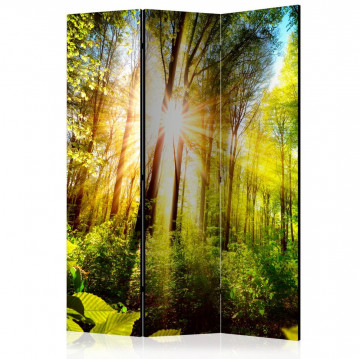 Paravan - Forest Hideout [Room Dividers] - Img 1