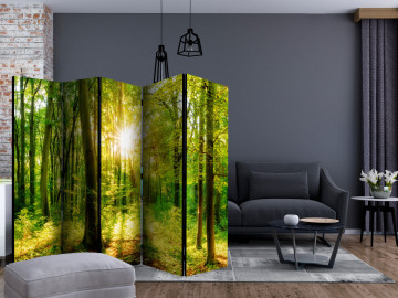 Paravan - Forest Rays II [Room Dividers] - Img 2