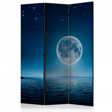 Paravan - Moonlit night [Room Dividers] - Img 1