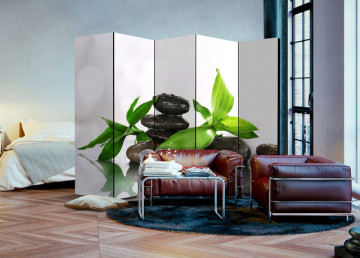 Paravan - Peaceful Harmony II [Room Dividers] - Img 2