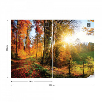 Sunrise In Autumn Forest Photo Wallpaper Wall Mural - Img 15