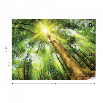 Sunshine Trees In The Forest Photo Wallpaper Wall Mural - Img 5