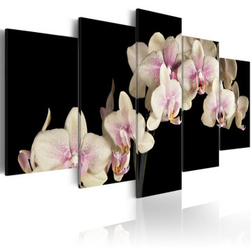 Tablou - An orchid on a contrasting background - Img 1