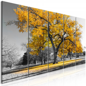 Tablou - Autumn in the Park (5 Parts) Narrow Gold - Img 1