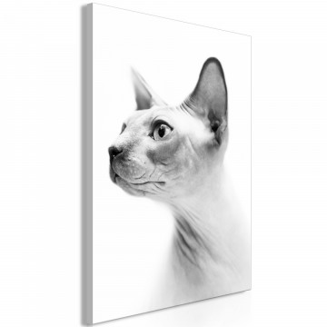 Tablou - Hairless Cat (1 Part) Vertical - Img 1