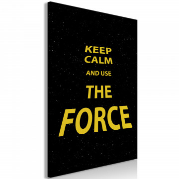 Tablou - Keep Calm and Ouse the Force (1 Part) Vertical - Img 2