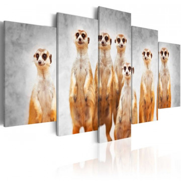 Tablou - Meerkats - Img 1