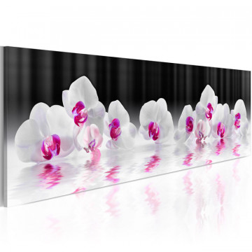 Tablou - Orchids In Water - Img 1